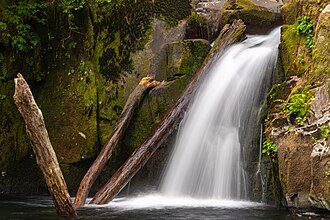 Sweet Creek Falls, an Oregon waterfall in a sacred natural landscape